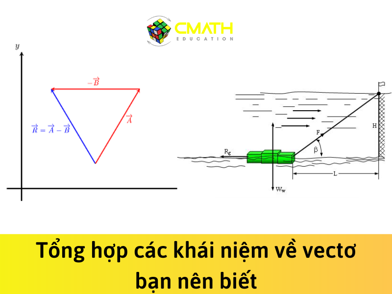 Tổng hợp các khái niệm về vectơ bạn nên biết
