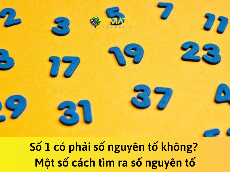 Số 1 có phải số nguyên tố không? Một số cách tìm ra số nguyên tố