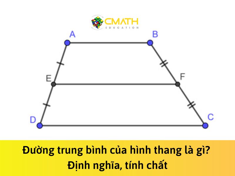 Đường trung bình của hình thang là gì? Định nghĩa, tính chất