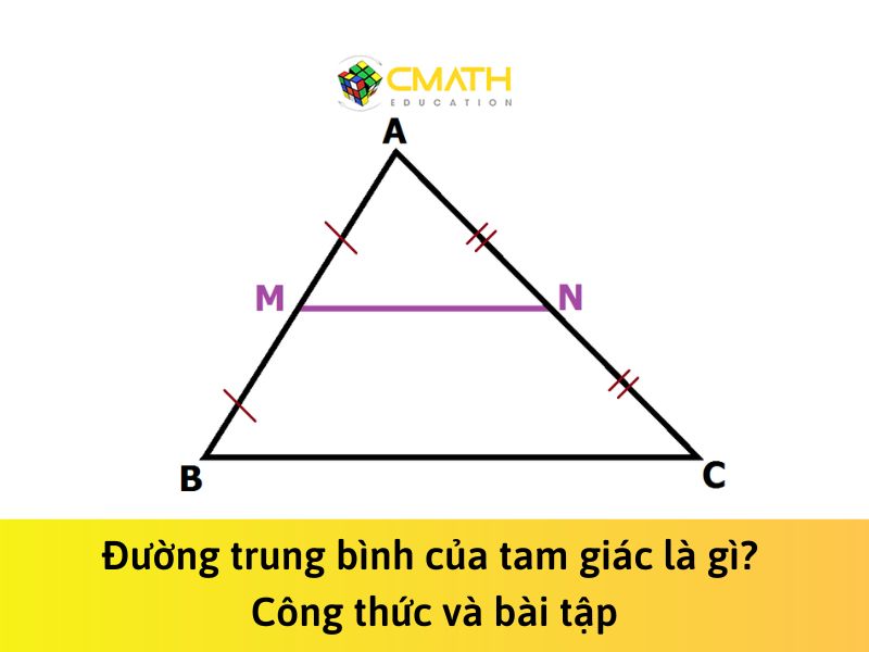 Đường trung bình của tam giác là gì? Công thức và bài tập
