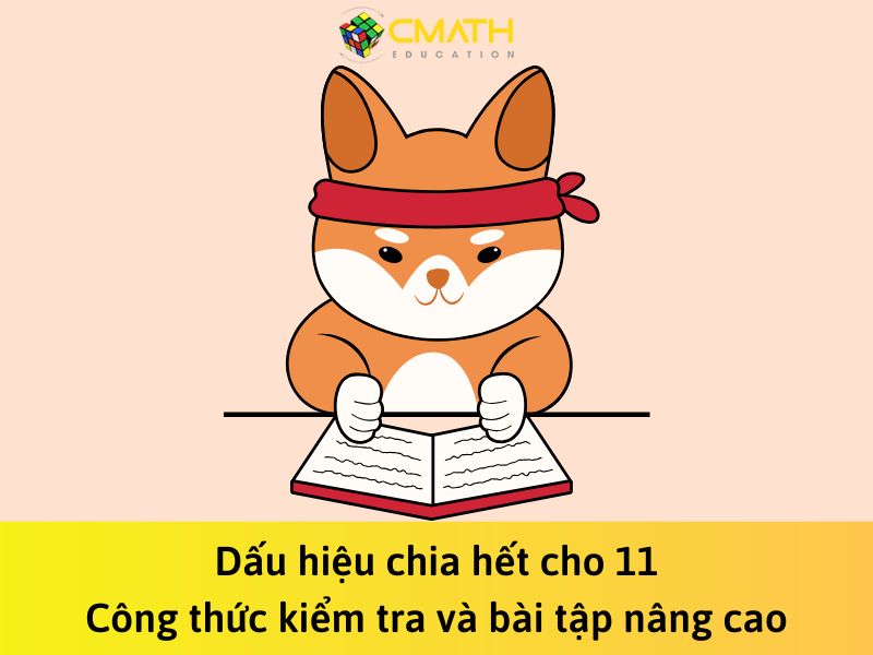 Dấu hiệu chia hết cho 11: Công thức kiểm tra và bài tập nâng cao