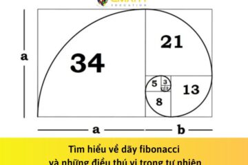 Tìm hiểu về dãy fibonacci và những điều thú vị trong tự nhiên